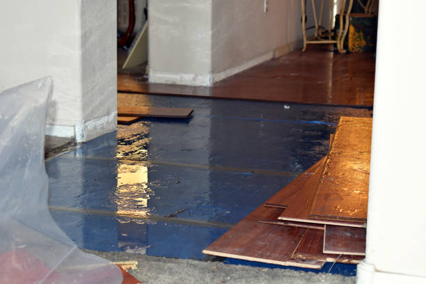 Professional Water Damage Restoration technician working in Middle Point, OH